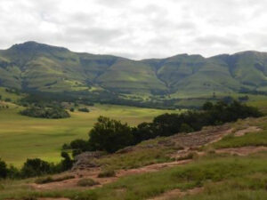 Read more about the article Scoping and Environmental Impact Assessment (SEIA) Process for the Chevy Chase Community Afforestation Project Eastern Cape Province
